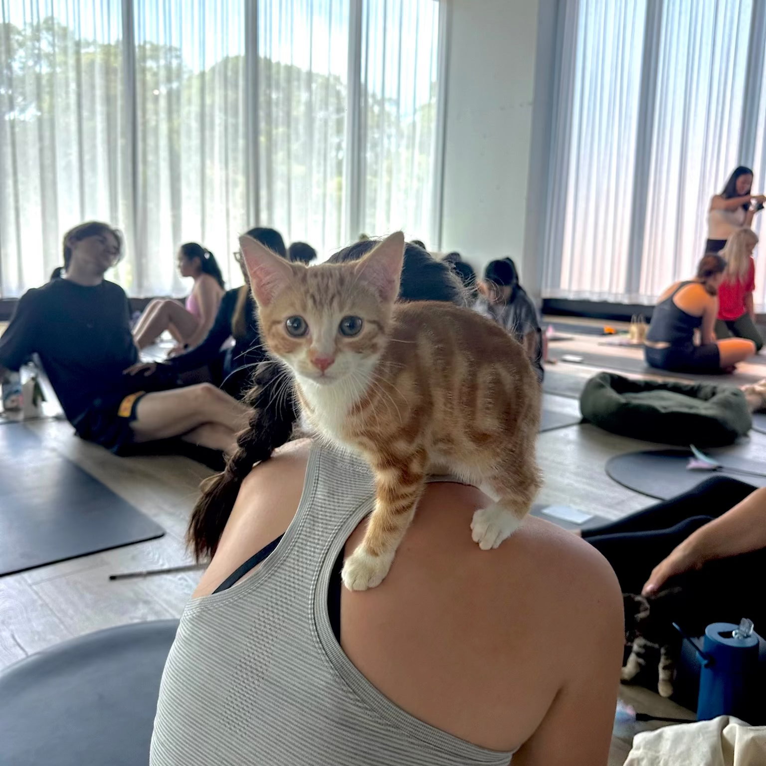 St Leonard's - March 8th