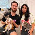 Kitty Cuddle Cove - September 27th